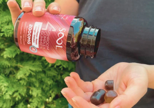 4-Mushroom-Berry-Flavored-Vegan-Usage-com